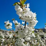 Albareilla By #cherrygredos El Arenal (Castile and Leon)