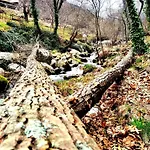 Albareilla By #cherrygredos El Arenal (Castile and Leon)