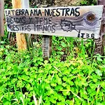 Albareilla By #cherrygredos
