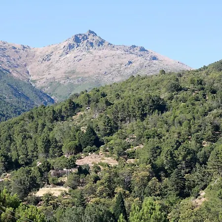 Albareilla By #cherrygredos Daire *