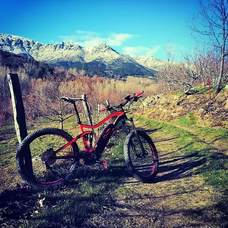 Albareilla By #cherrygredos Daire *