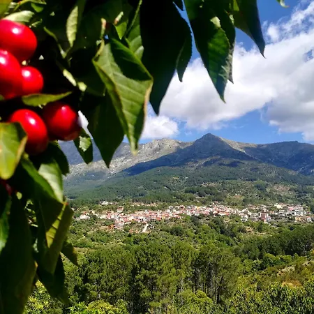 Albareilla By #cherrygredos Daire