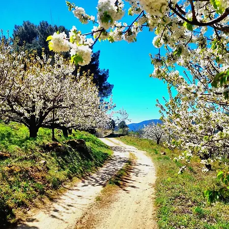 Albareilla By #cherrygredos Daire