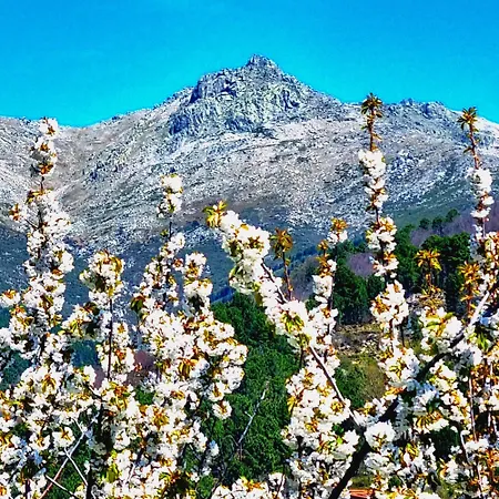 Daire Albareilla By #cherrygredos *