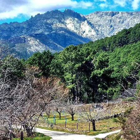 Διαμέρισμα Albareilla By #cherrygredos