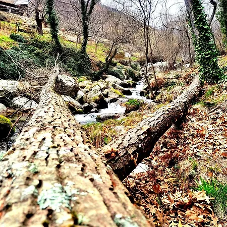 Albareilla By #cherrygredos El Arenal (Castile and Leon)