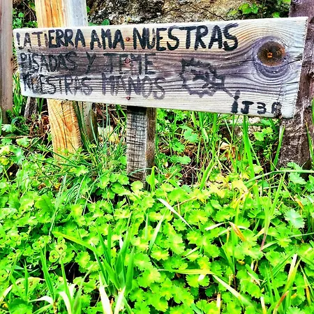 Albareilla By #cherrygredos