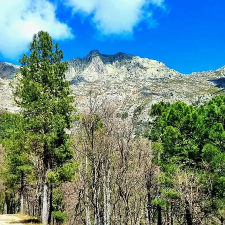 Albareilla By #cherrygredos