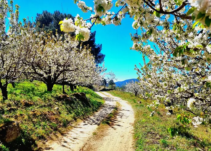 Albareilla By #cherrygredos Apartman