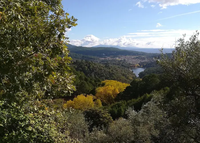 Albareilla By #cherrygredos El Arenal