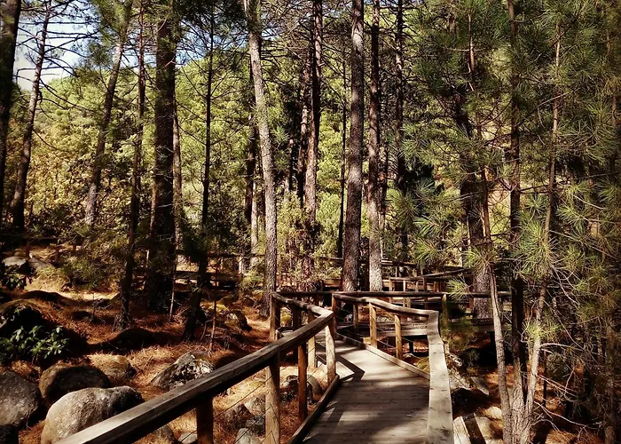 Apartman Albareilla By #cherrygredos