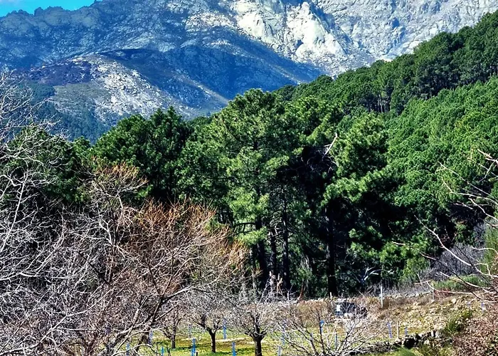 Apartman Albareilla By #cherrygredos