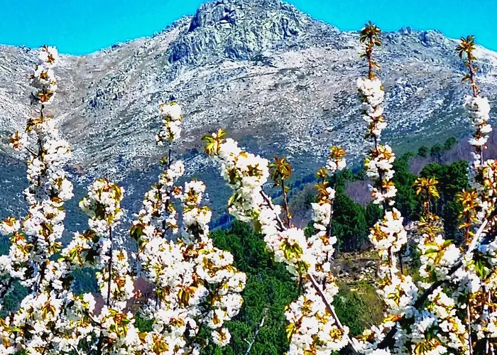 Albareilla By #cherrygredos Apartman El Arenal