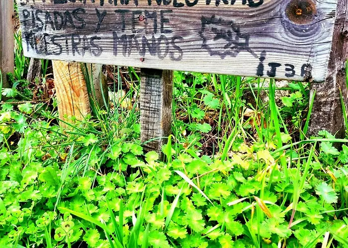 Albareilla By #cherrygredos