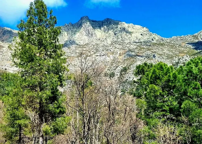 Albareilla By #cherrygredos