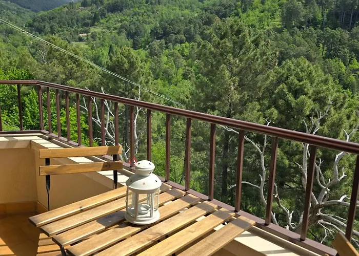 Albareilla By #cherrygredos * El Arenal